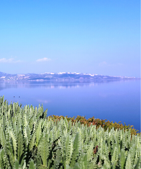 Aksoy Group Turizm Richmond Nua Banner M